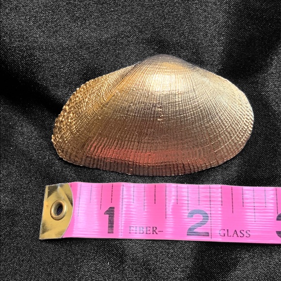 Vintage Seashell Pin - Picture 3 of 3